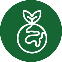 Icon 8